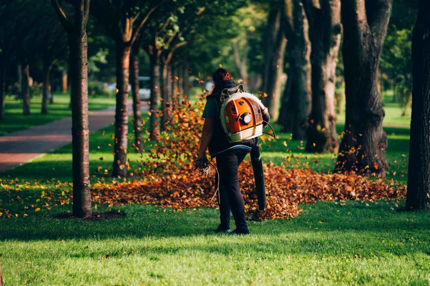 Best Professional Tree Care  in , FL